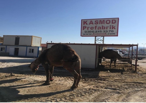 Kasmod Prafabrik'ten Olağan Gün 
